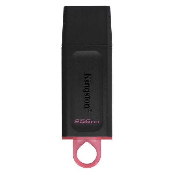Kingston DataTraveler USB Flash Drive 256GB